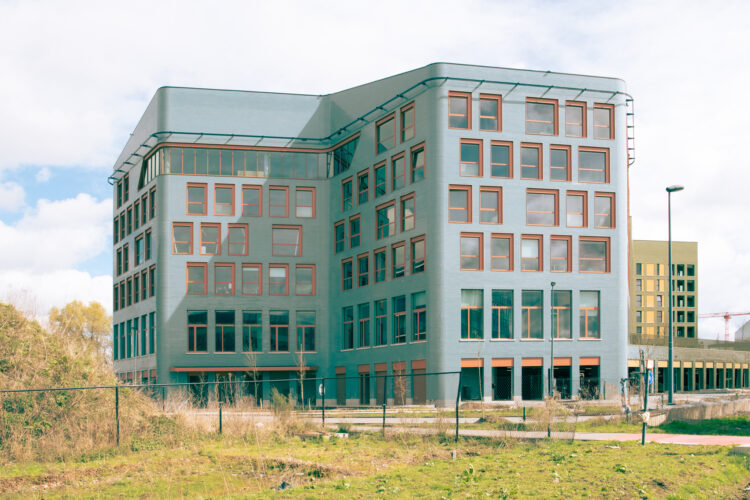 DSC 0785